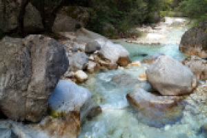 Работа 3055207