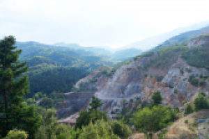 Работа 3055203