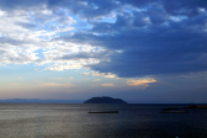 Работа 3055199