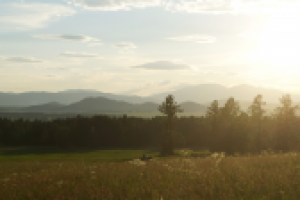 Работа 3055136