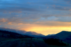 Работа 3055134