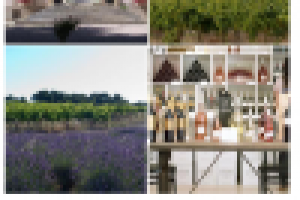 Текст для блога по теме "Дизайн, архитектура"