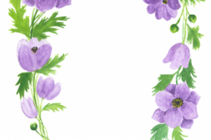 Работа 3175757