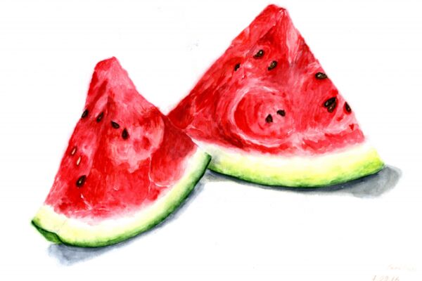 img3152494.png