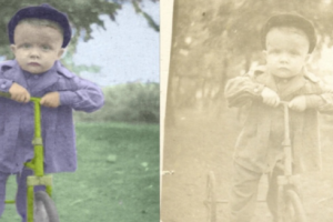 Работа 4090529