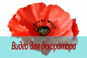 Видео для сторис