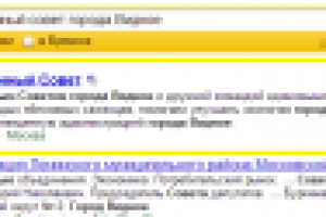 Общественный Совет города Видное