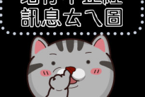 Экран с котейкой