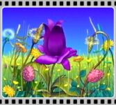 img427862.png