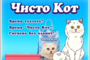 «Чисто кот»