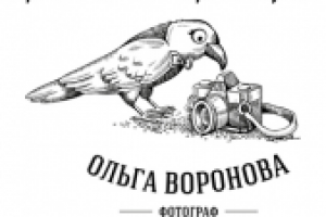 Отзыв о работе