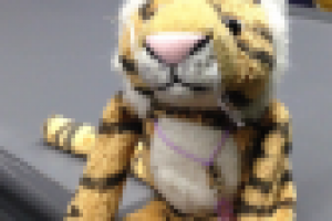 Монтаж видео о путешествии в США аля Moby