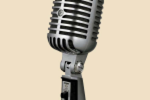 Диктор. Женский голос