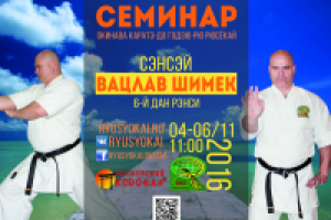 Афиша мастер-класса чешского сенсея