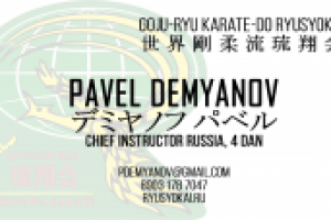 Визитка сенсэя школы Окинавского каратэ