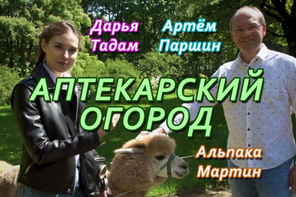 img3915159.png