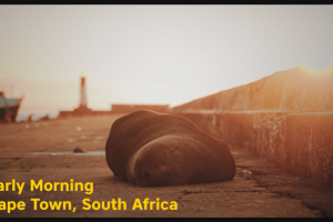 Раннее утро, Кейп Таун