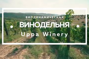 Проект В.И.Н.О. - UPPA