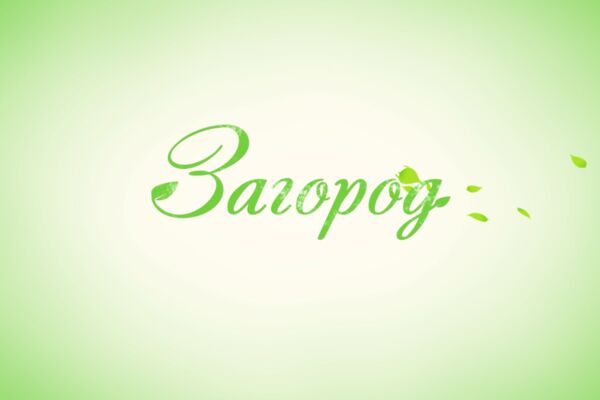 изображение_2025-02-11_131444131.png