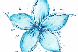 Косметическая компания