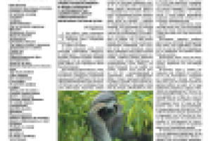 Мастер на все руки № 2. Передовица