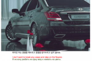 Hyundai перевод субтитров для ролика Слепая парковка