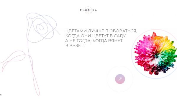 img4167928.png