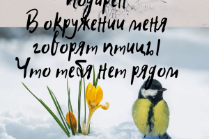 Работа 4173571