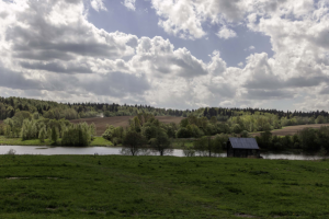 Весенний пейзаж