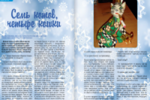 Семь котов, четыре кошки (новогодний экшн)