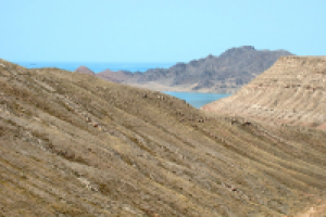 Глория, отвертка, Лисс