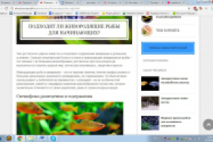 Аквариумные рыбы и другие обитатели