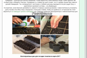 Благоприятные дни для посадки томатов в марте 2017