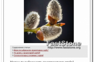 Что делать с прошлогодней вербой?