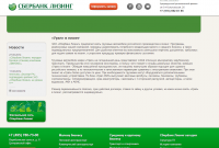 Рерайт для Сберлизинг
