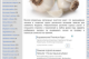 Как вырастить чеснок на продажу