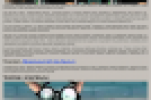 Крысы-онлайн