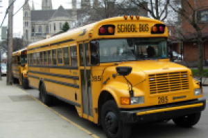 Аренда школьного автобуса