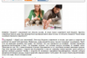 Информационная статья. Семейный бюджет или финансовый компромисс