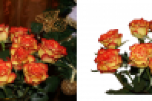 Обтравка цветов