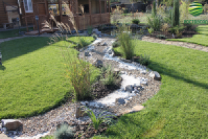 Ландшафтное озеленение