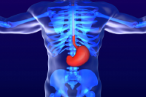 Гастроэнтерология