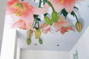 Художественные натяжные потолки