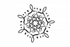 Черно-белый цветок