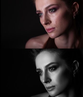 img3911578.png