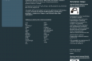 автодиагностика | inpa