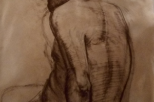 Голый торс (рисунок)