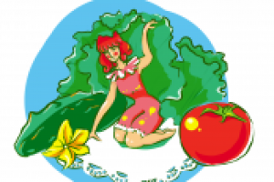 Завтрак из овощей