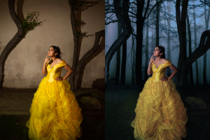 Работа 3926457