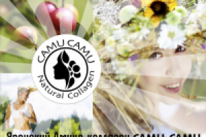 Презентация БАД